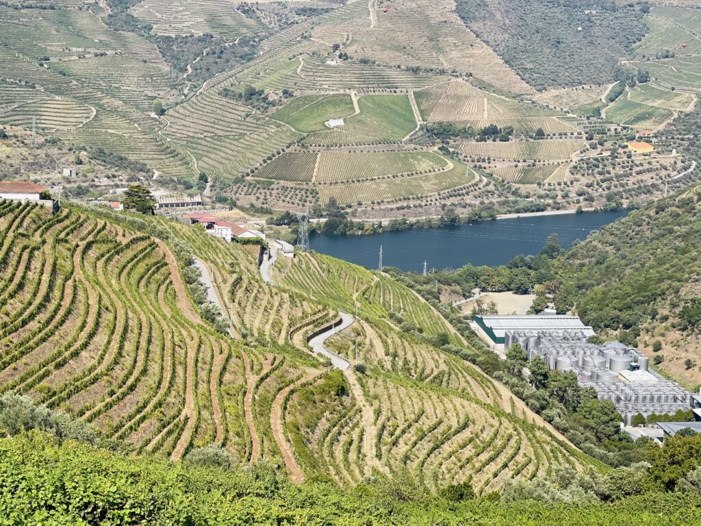 Douro Valley Cruise, Portugal, must do in Porto, Portugal