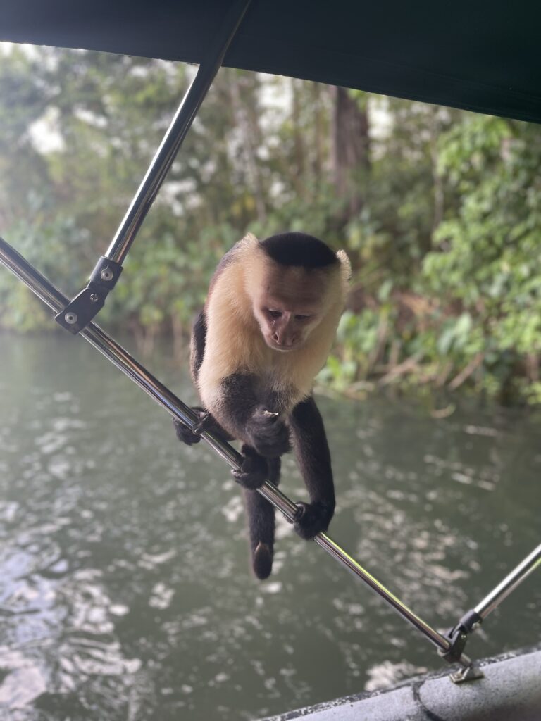 Panama Canal and visiting Monkey Island